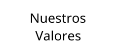 Nuestros  Valores